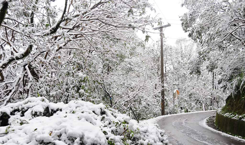 2016年1月24日茶園下雪