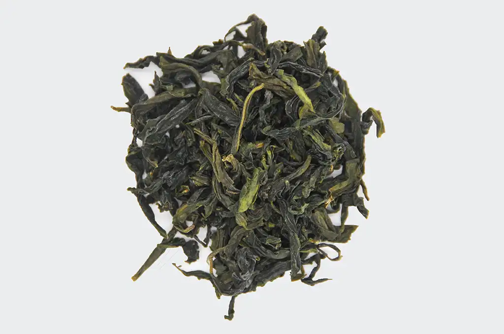 包種茶製作過程