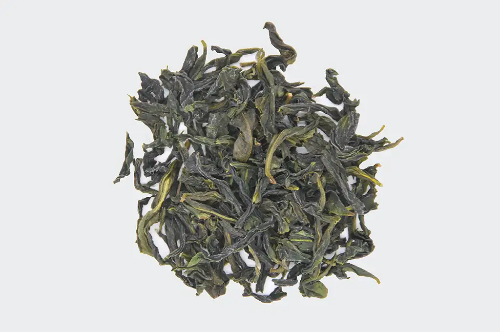文山包種茶介紹