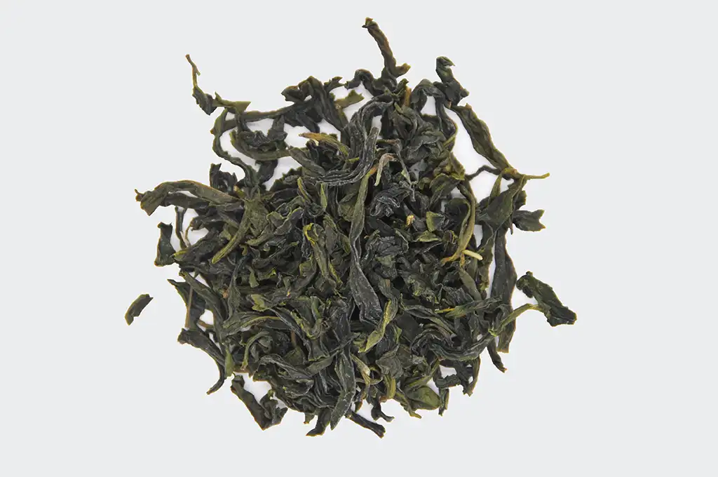 文山包種茶的特色
