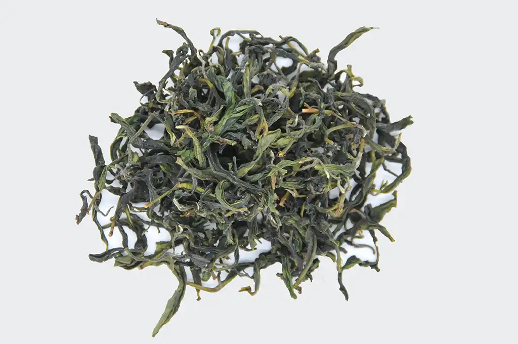 文山包種茶是綠茶嗎