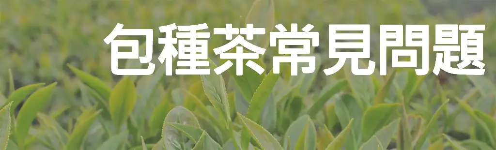 包種茶常見問題
