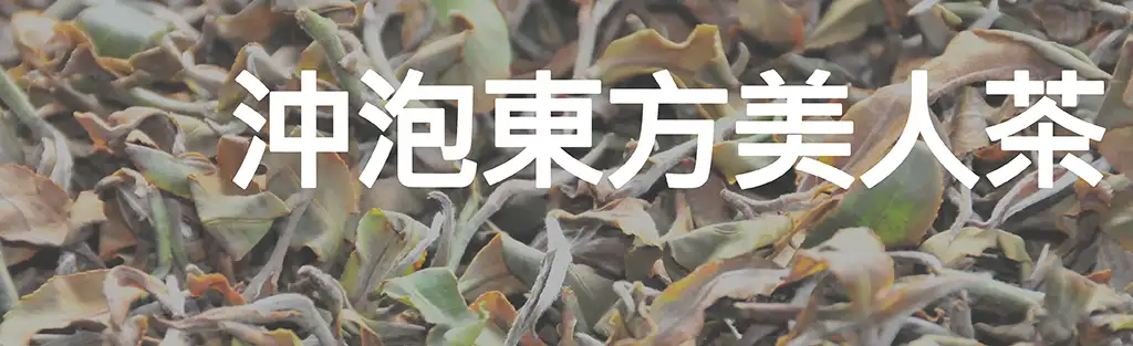沖泡東方美人茶