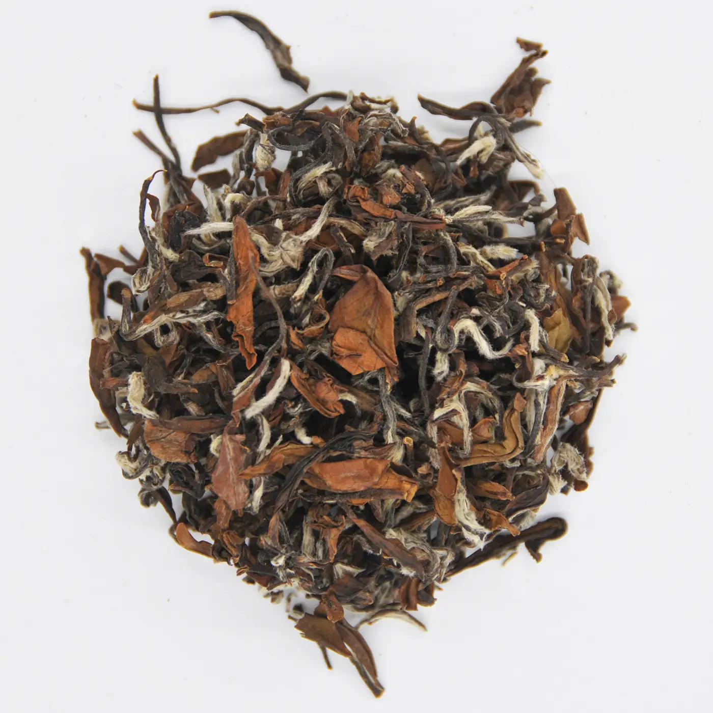 金萱白毫烏龍茶-150克(2026年茶)